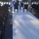 Kwiaciarnia u Edyty Puławy (16)