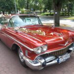 Kwiaciarnia u Edyty Puławy (3)